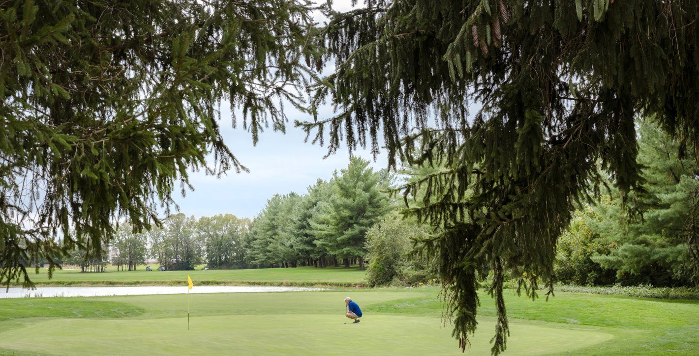 The Blue Ridge Mountains