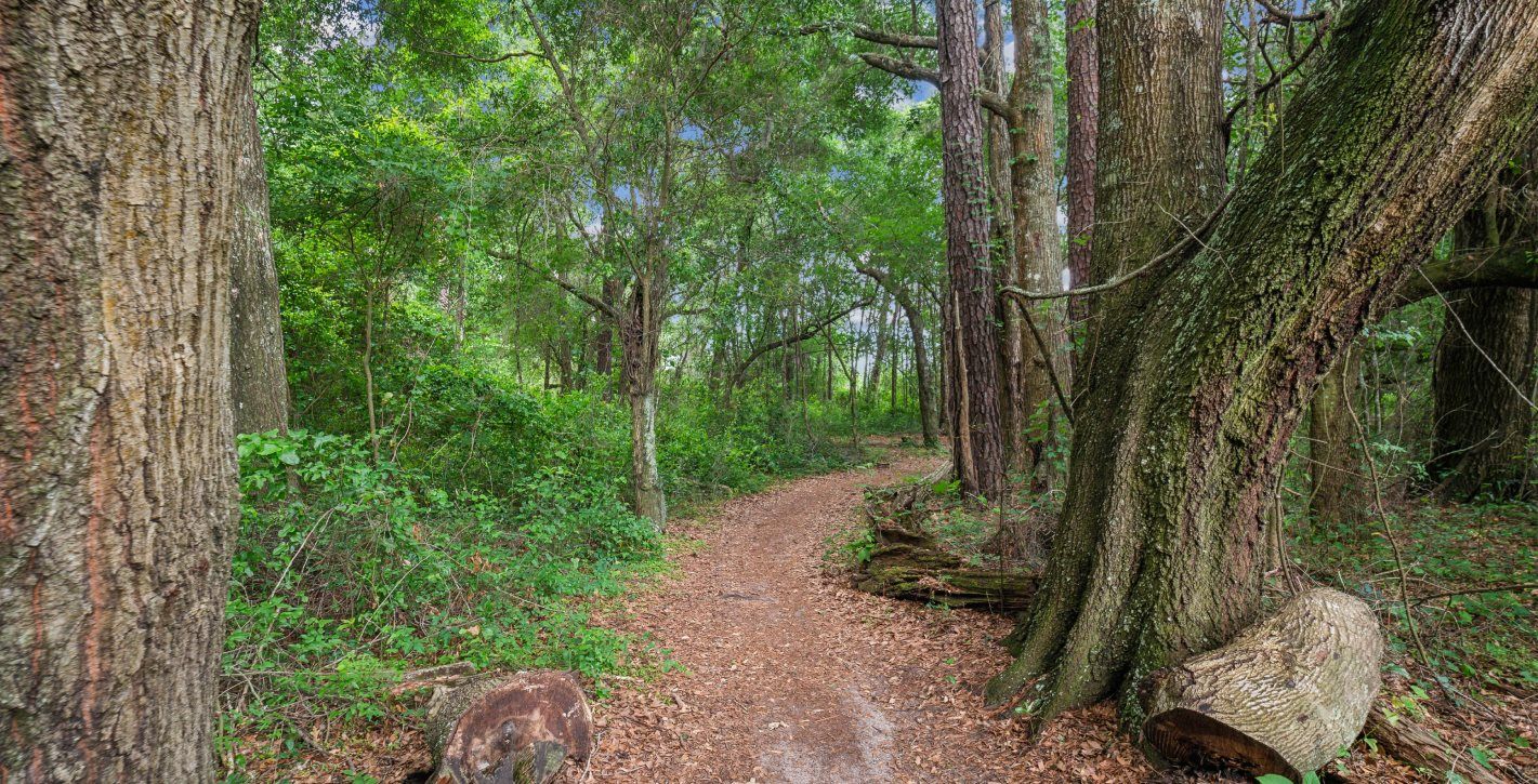 San Felasco Hammock Preserve State Park