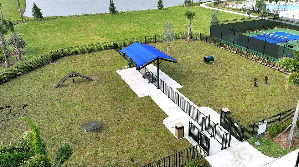 Brystol at Wylder dog park