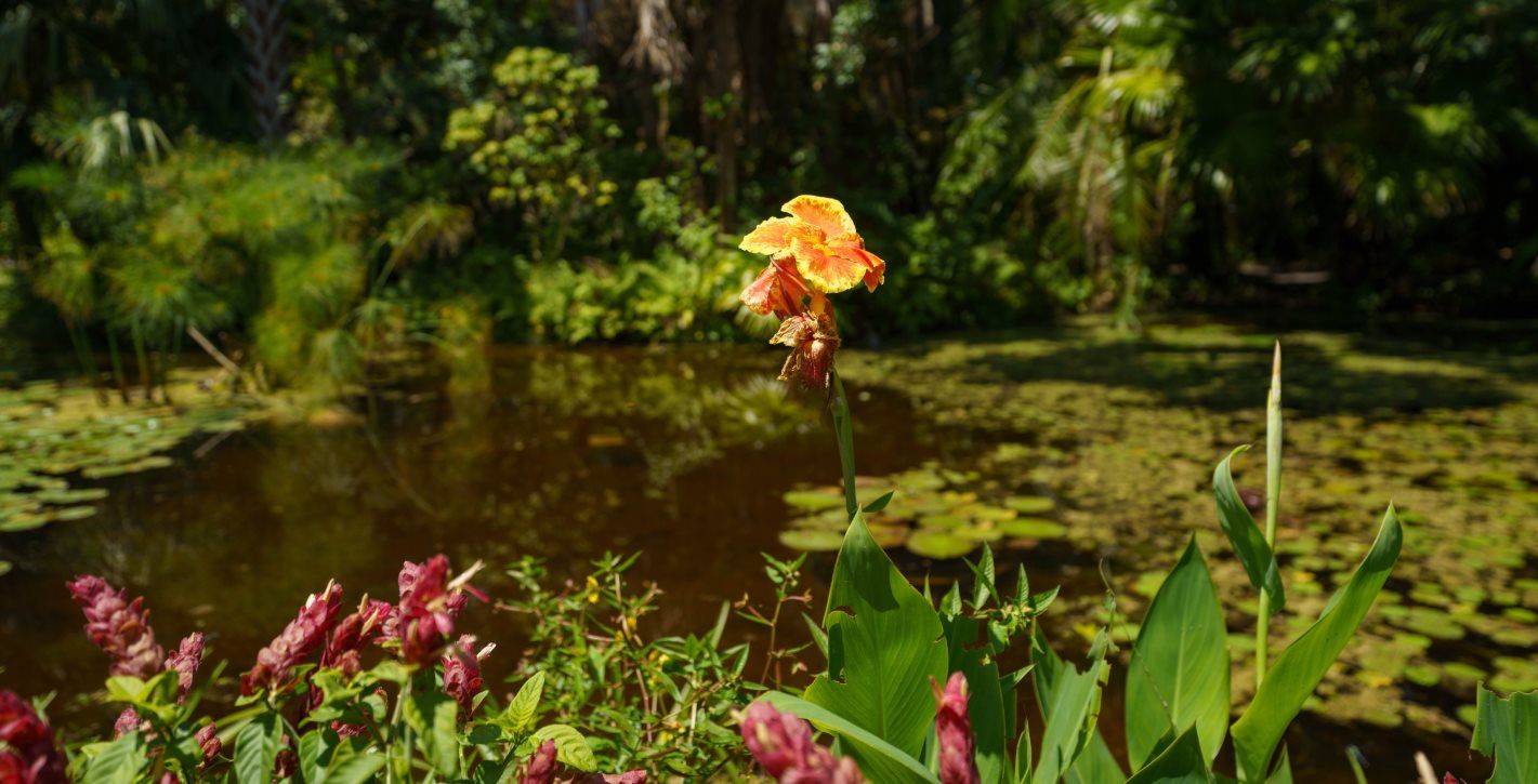 McKee Botanical Gardens