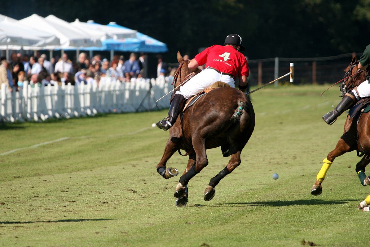 N Pic Sports Equestrian Polo Match Horses