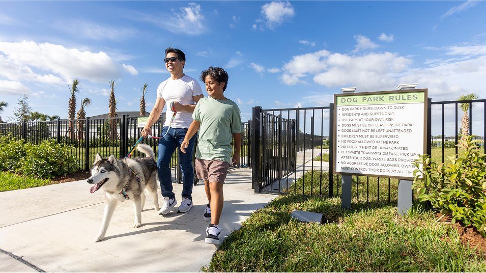 Brystol at Wylder dog park