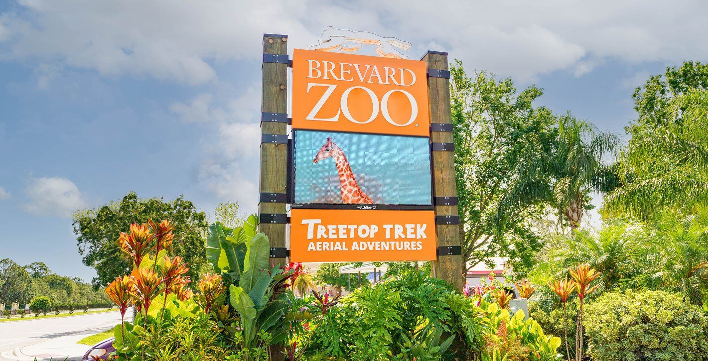 Brevard Zoo