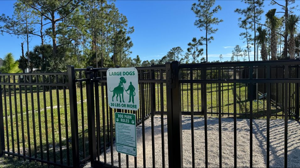 Dog Park