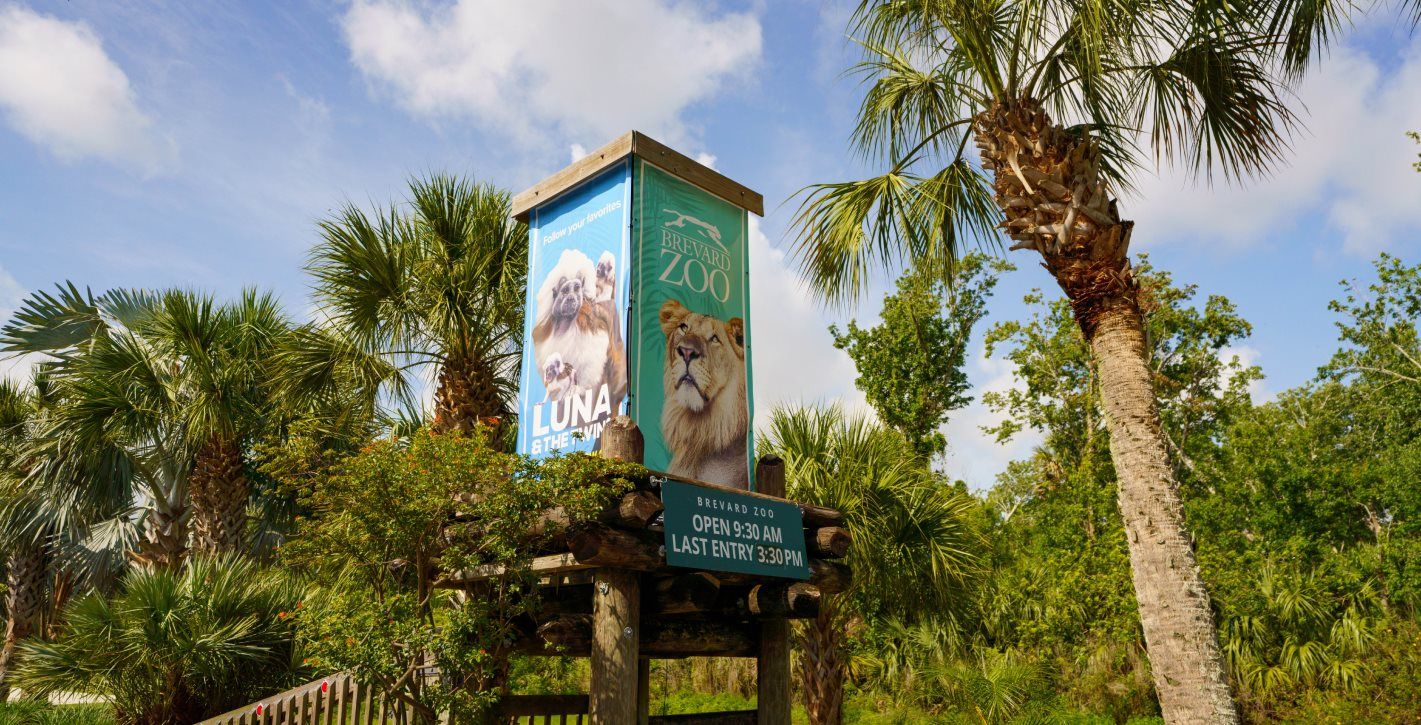 Brevard Zoo