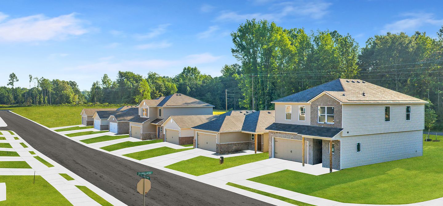 Mize Meadows Streetscape 2of3