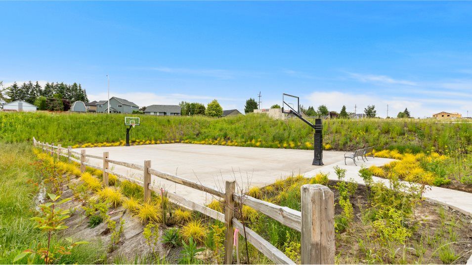 Brynhill sport court