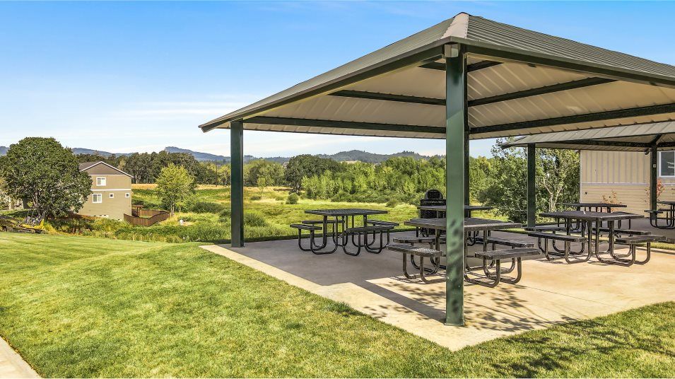 Autumn sunrise picnic area amenity