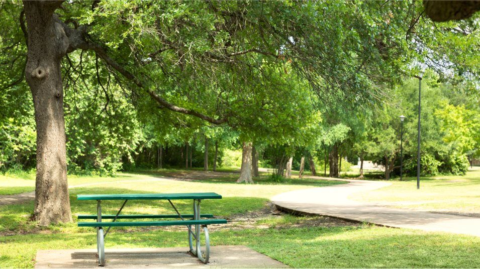 Autumn Sunrise picnic table