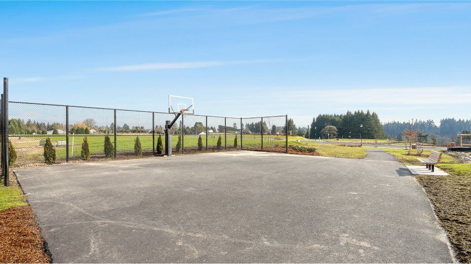 Ridgefield Heights Basketball Court