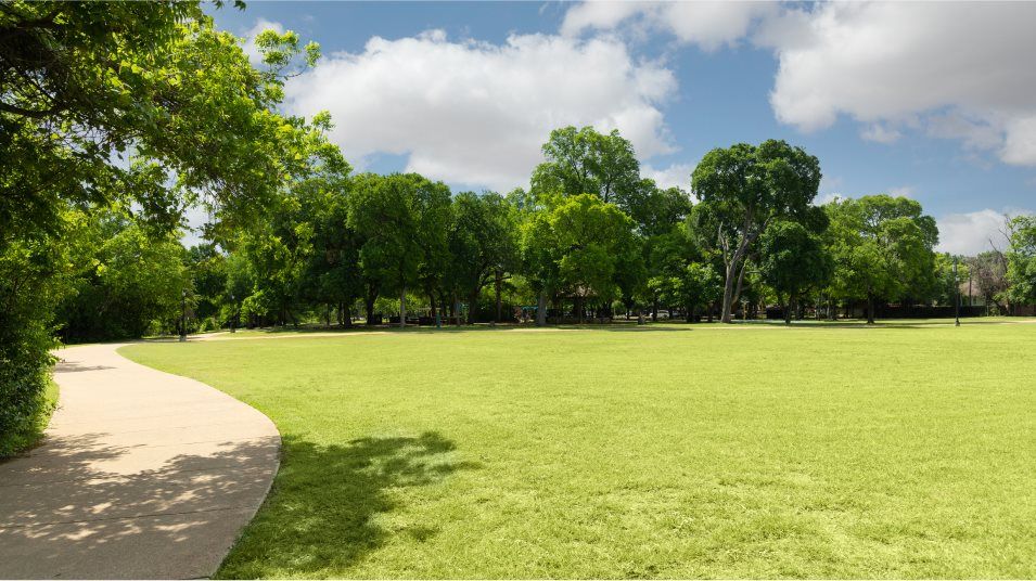 Autumn Sunrise trails