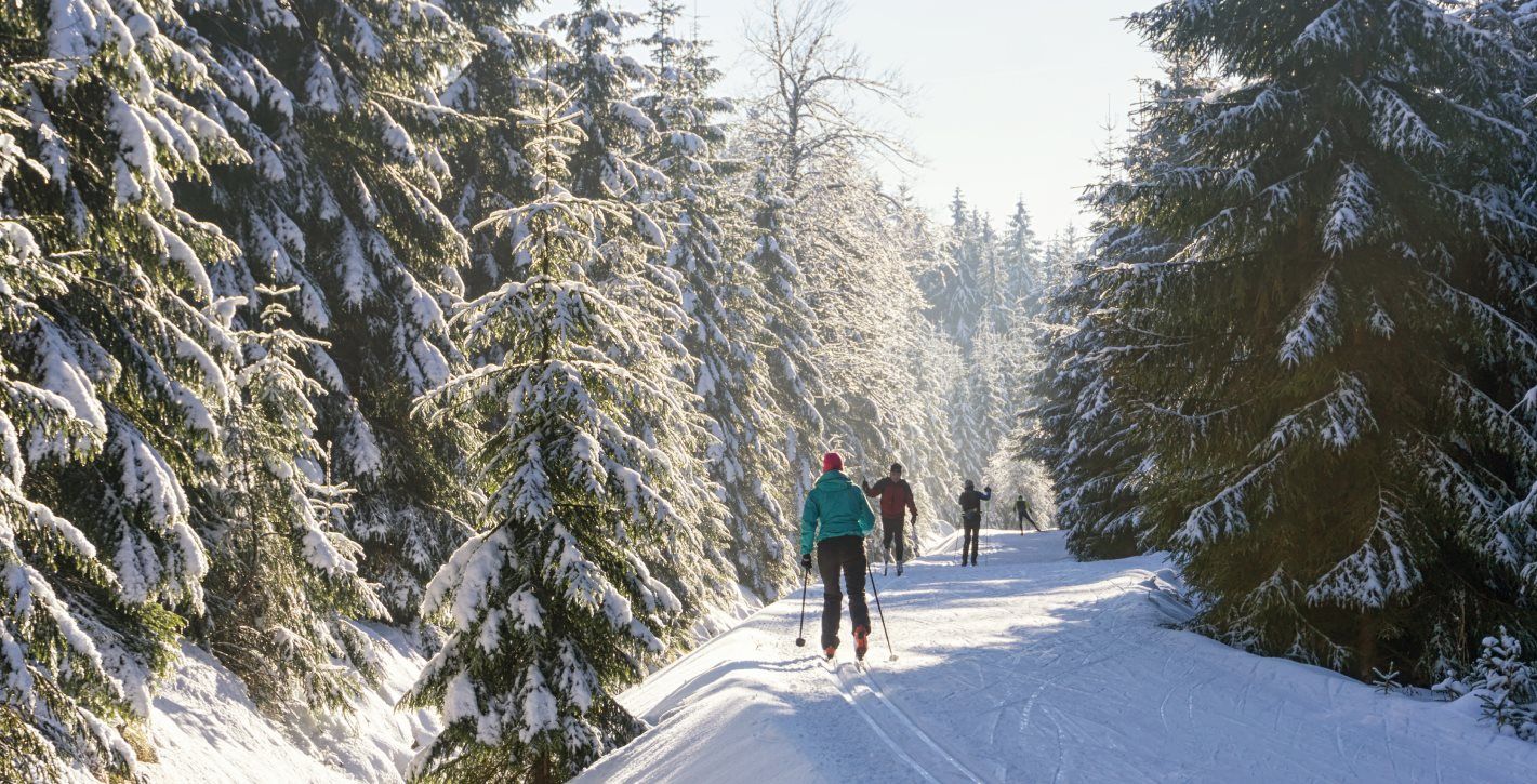 cross country skiing