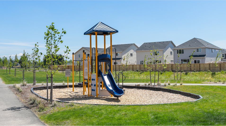 View of playground