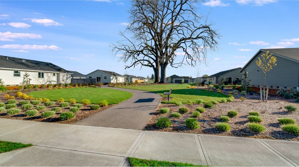 Smith Creek Walking Trail