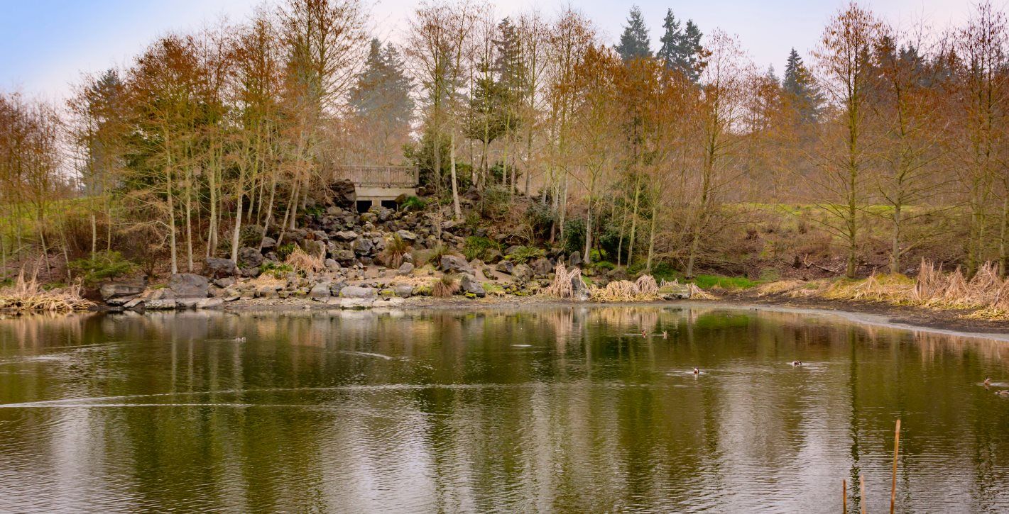 Albany Simpson Park Photoshoot