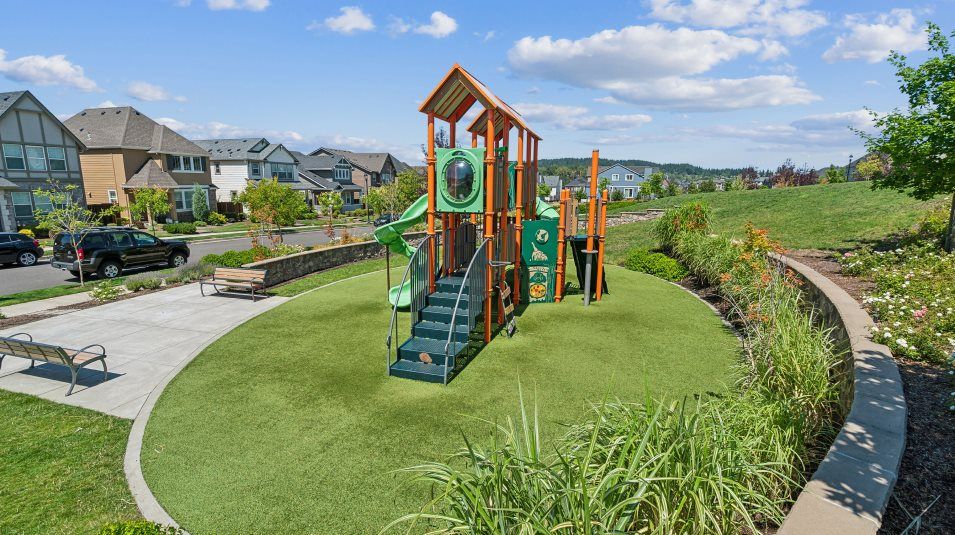 Community Park
