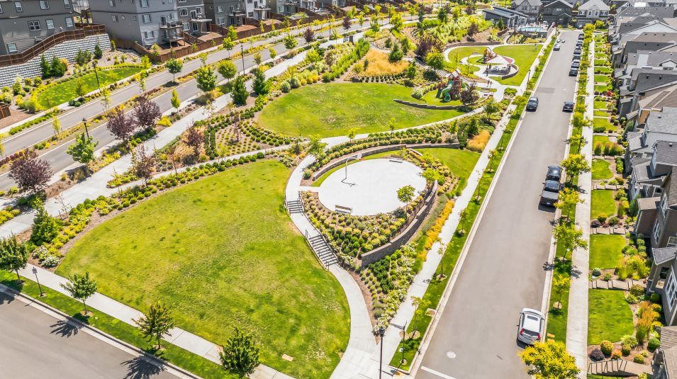 Community Park