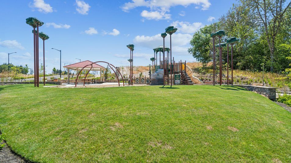 Community Park