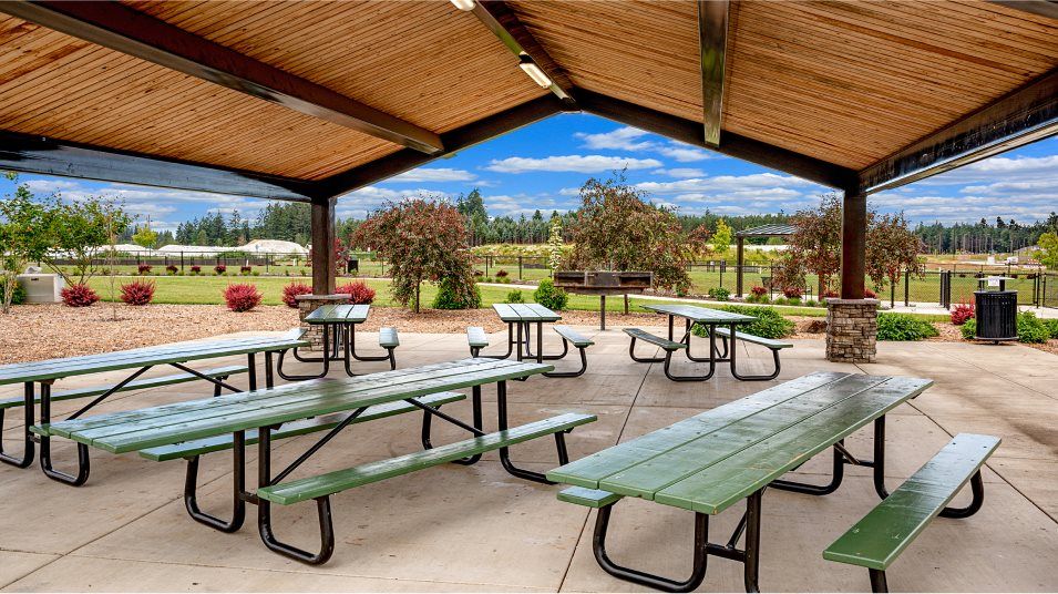 Butternut Creek picnic area amenity