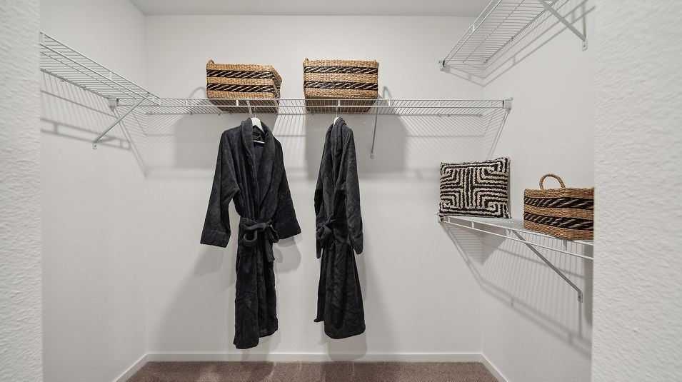 2032 Damian Owners WIC F2