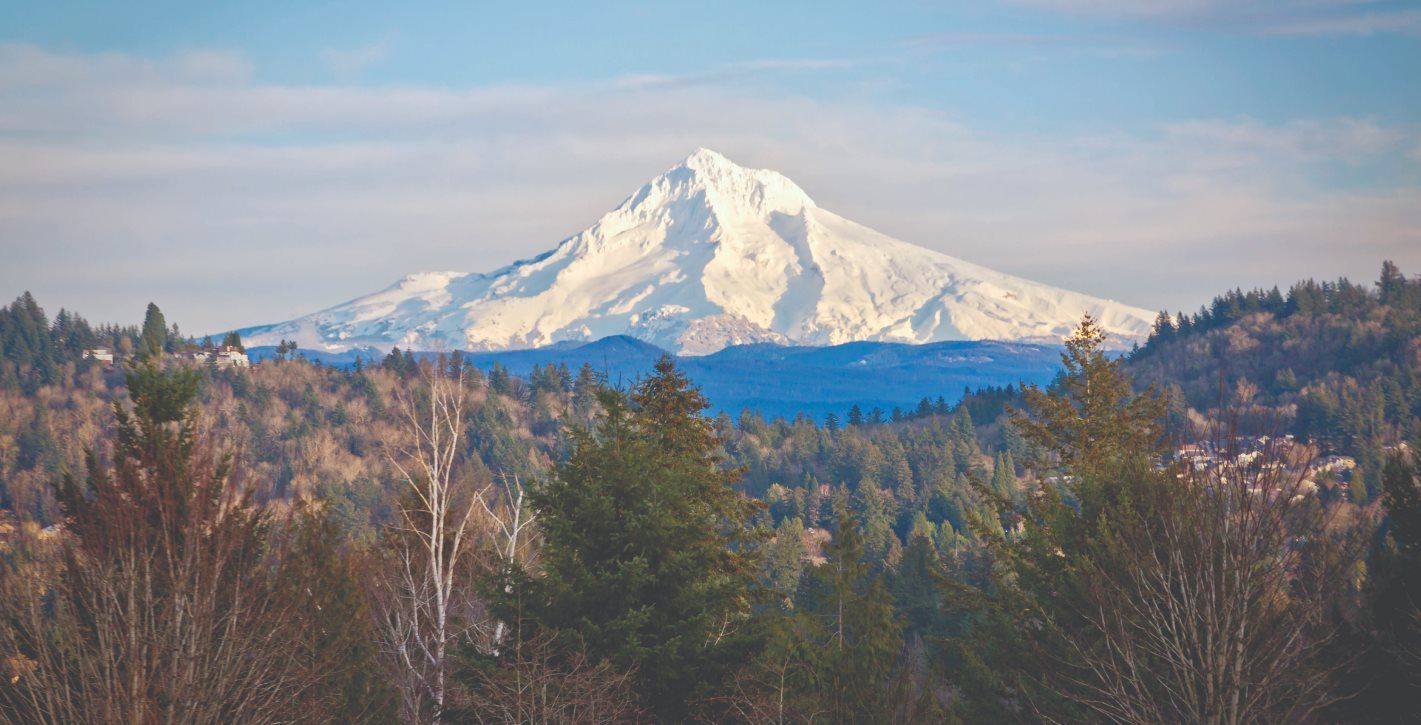 Mt. Hood