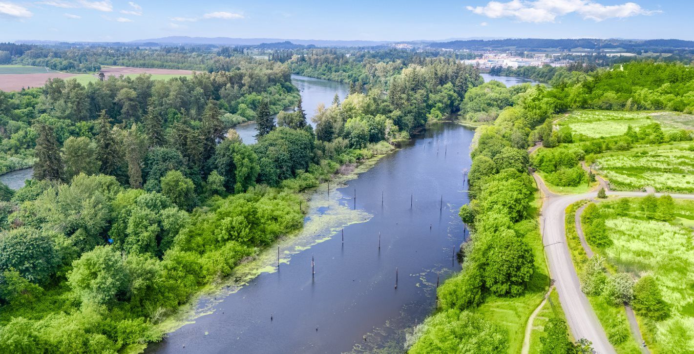Albany Talking Water Gardens