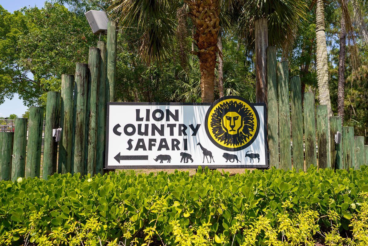 Lion Country Safari