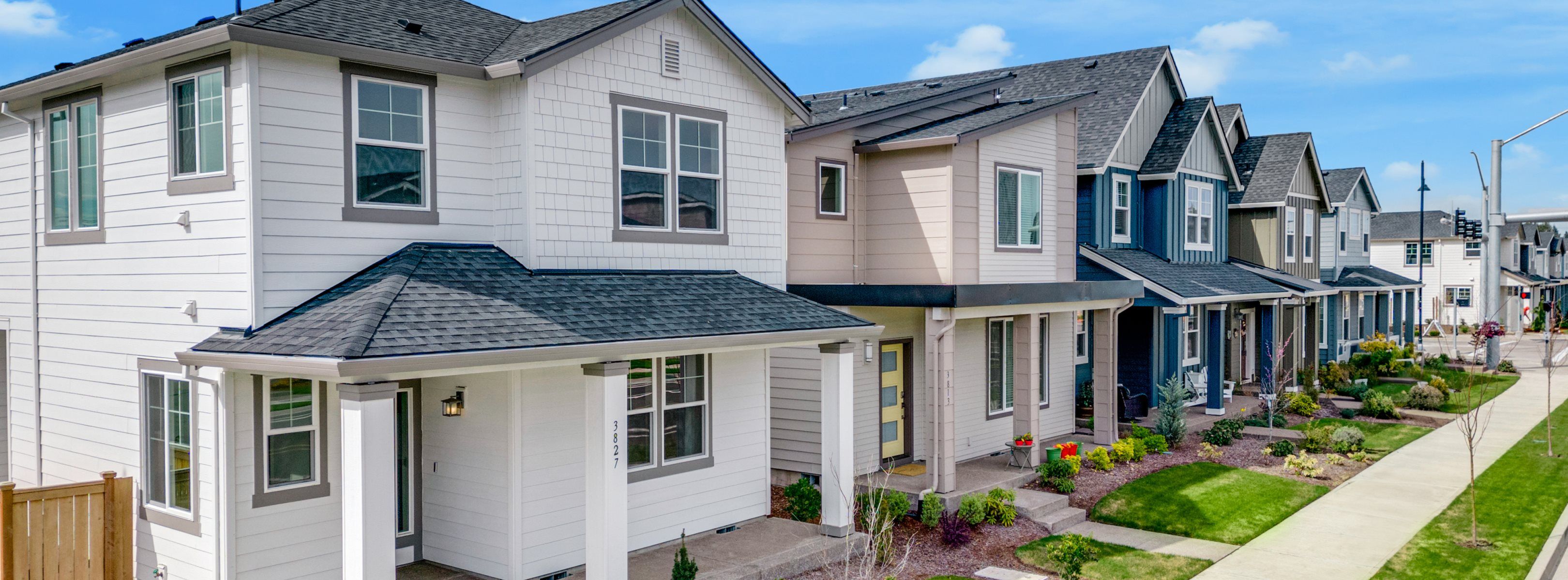 The Daisy Collection - Meadowview Streetscape Hero Image