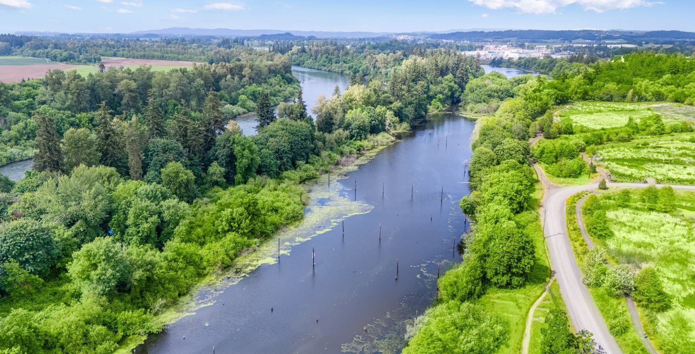 Talking Water Gardens