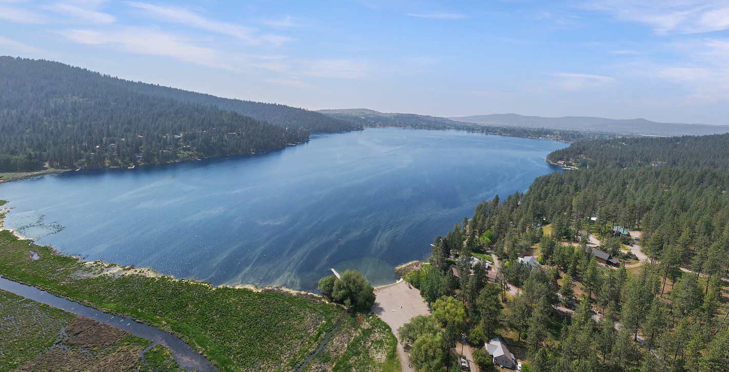 View of a scenic lake surrounded by evergreen trees