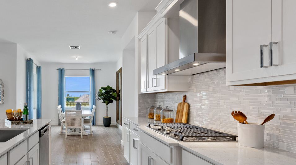 Gas stovetop with decorative hood