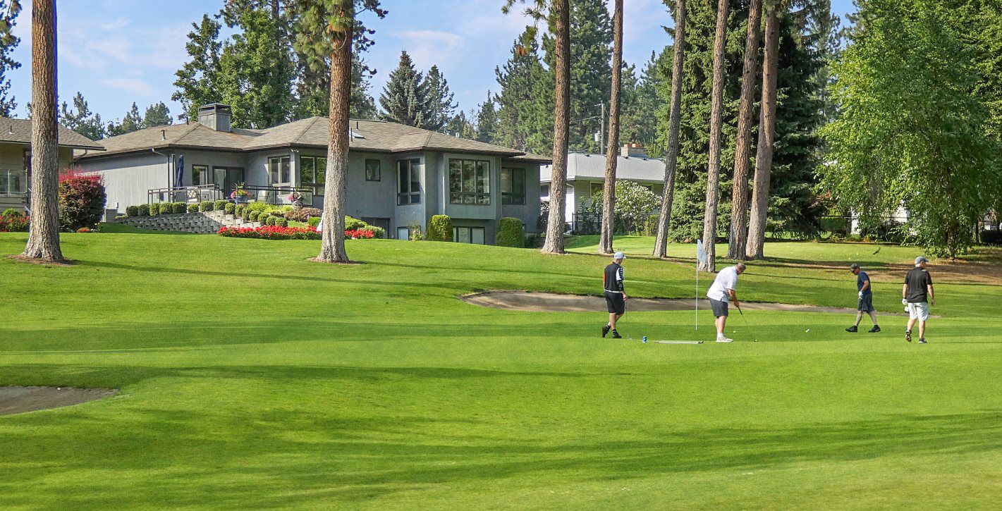 Four people playing golf on a bright green course