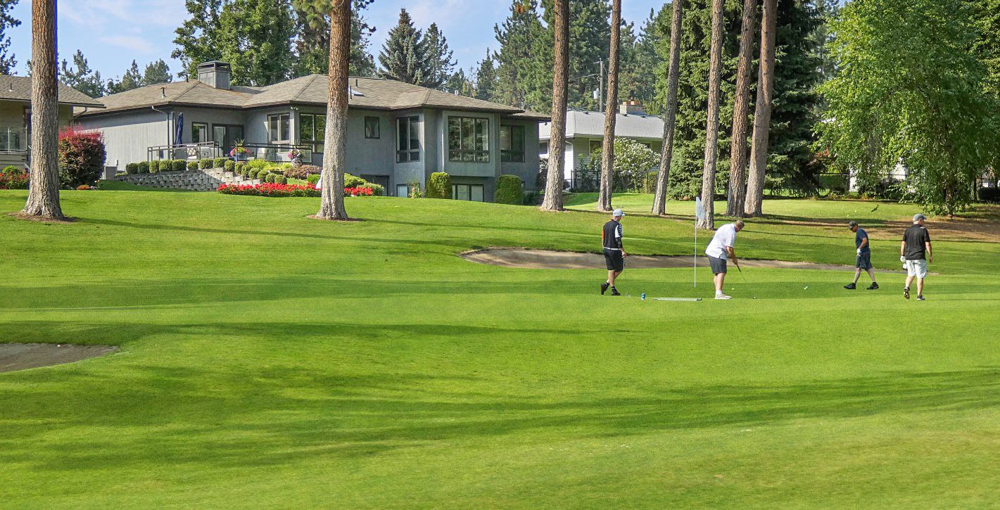 People playing golf on a green course