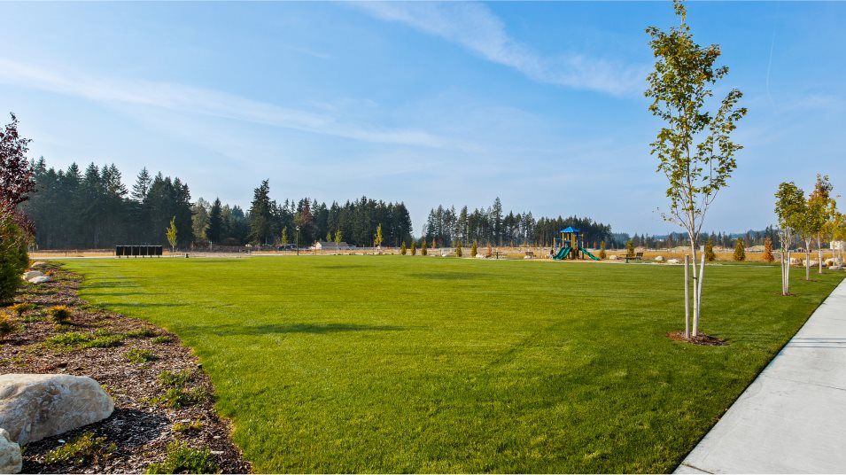 Park with lots of grass