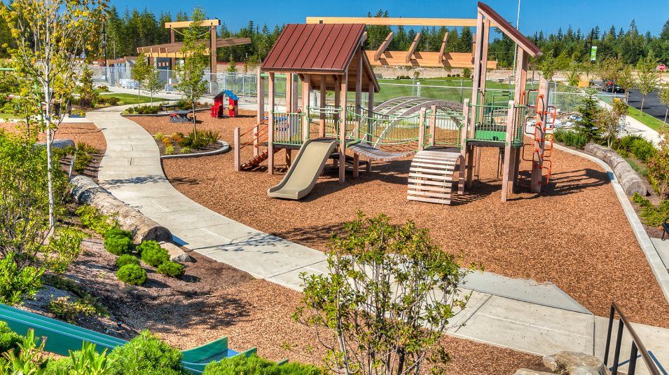 Playground in the daylight