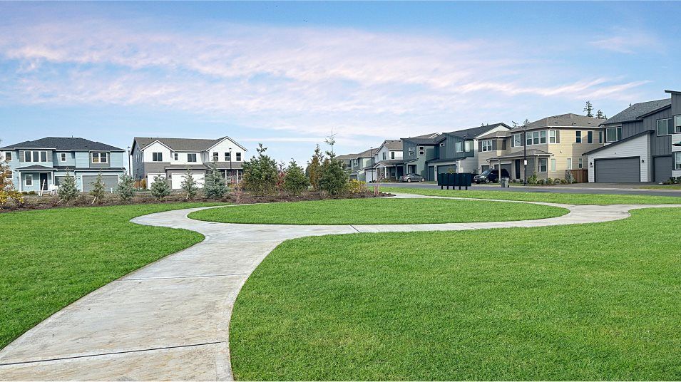 Paved walking path in green grass surrounded by homes