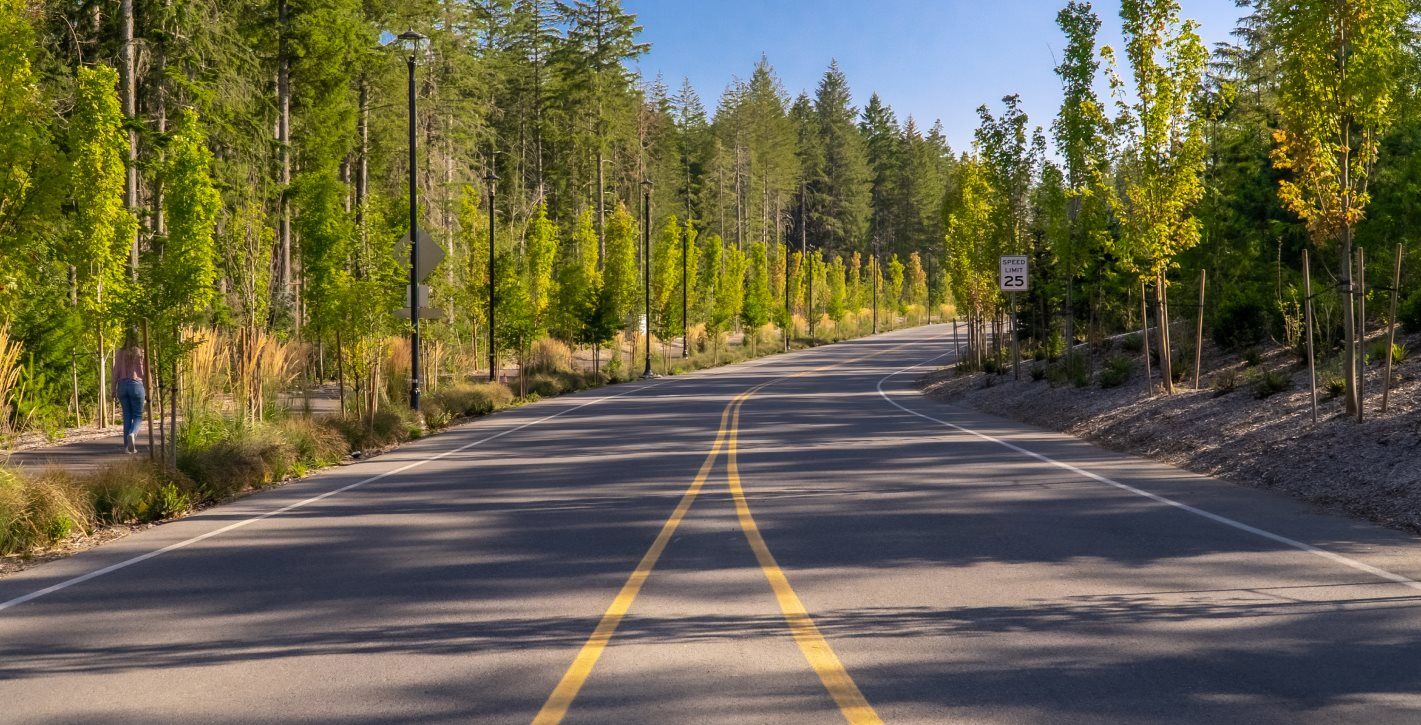 Street lined with trees