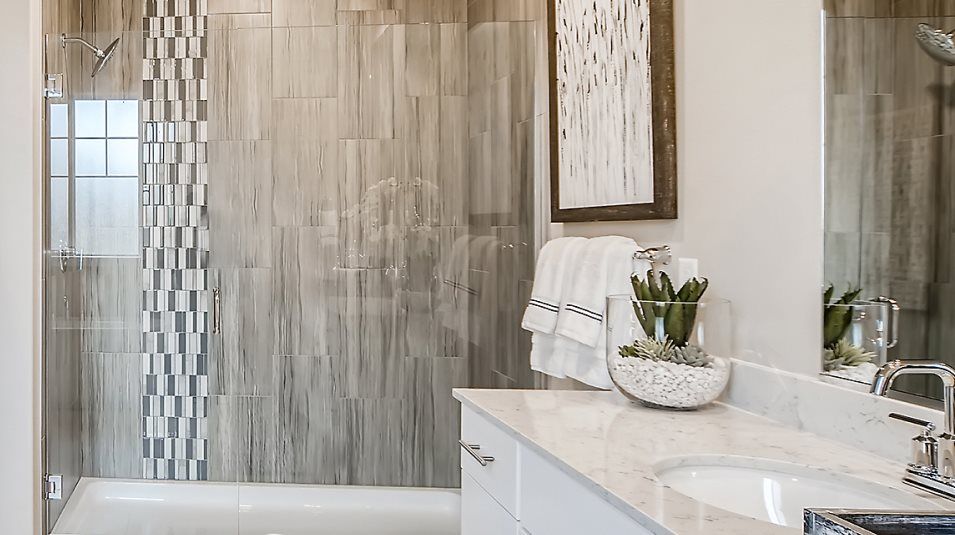 Shower and sink in the owner's bathroom