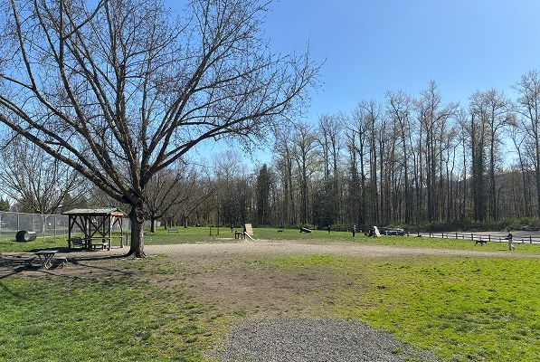 041525 Monroe Wiggly Field Dog Park 2of2