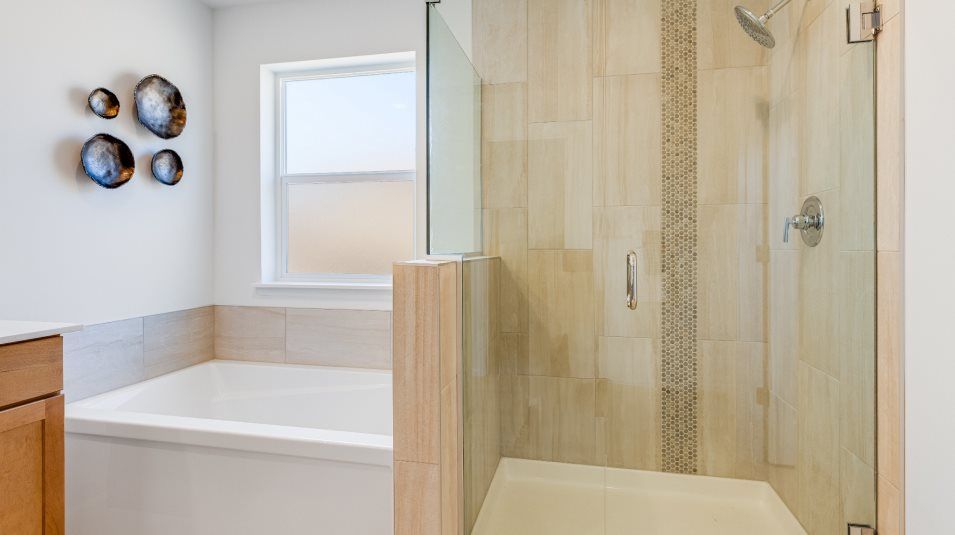 Glass-enclosed shower with decorative wall tile