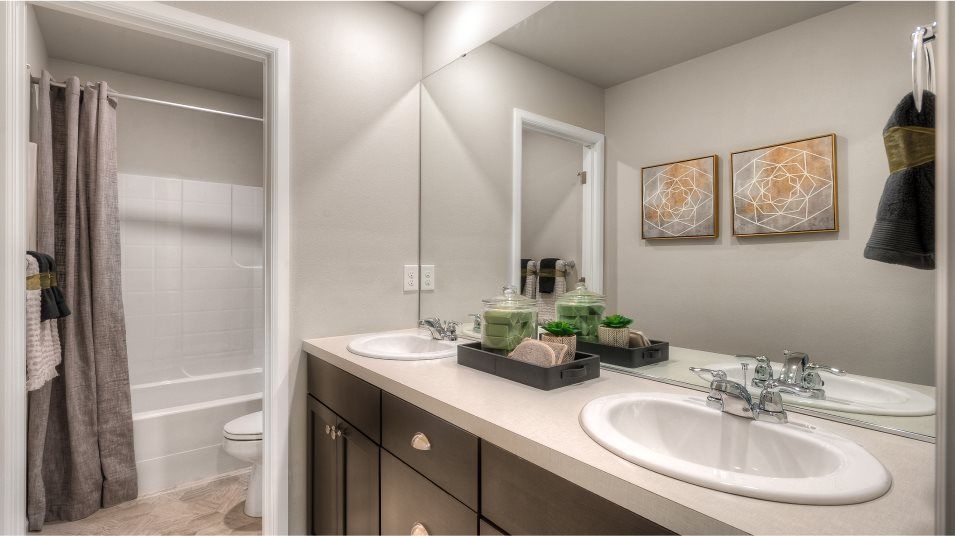 Autumn Vista Columbia Bathroom