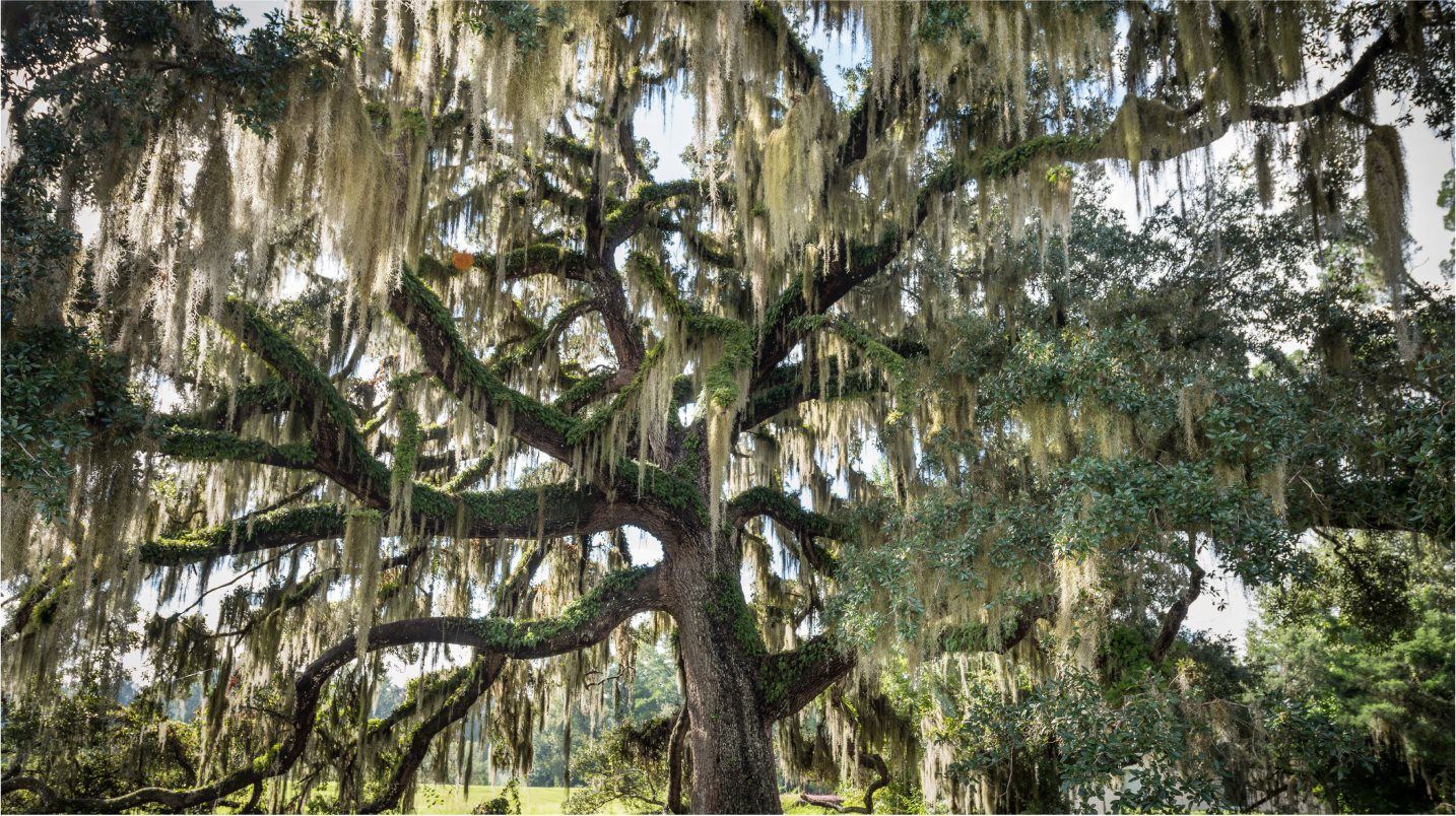 Southern Hills 300 rings park