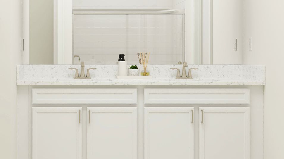 Bathroom Counters and Cabinet