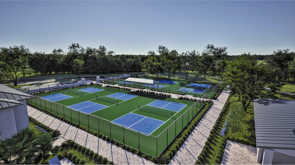 Angeline pickleball court