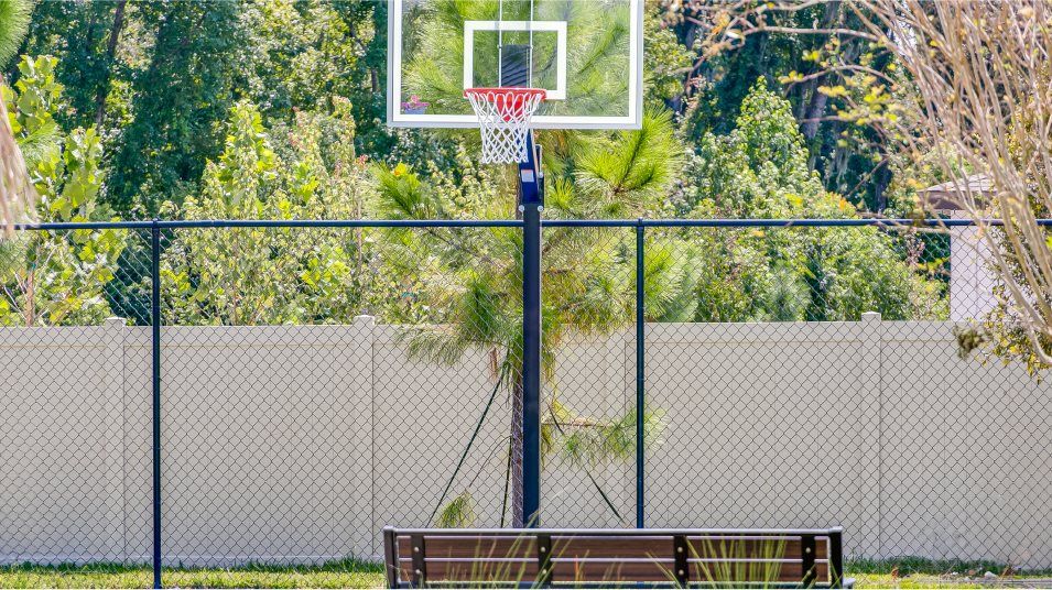 basketball