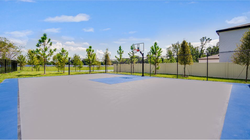 basketball