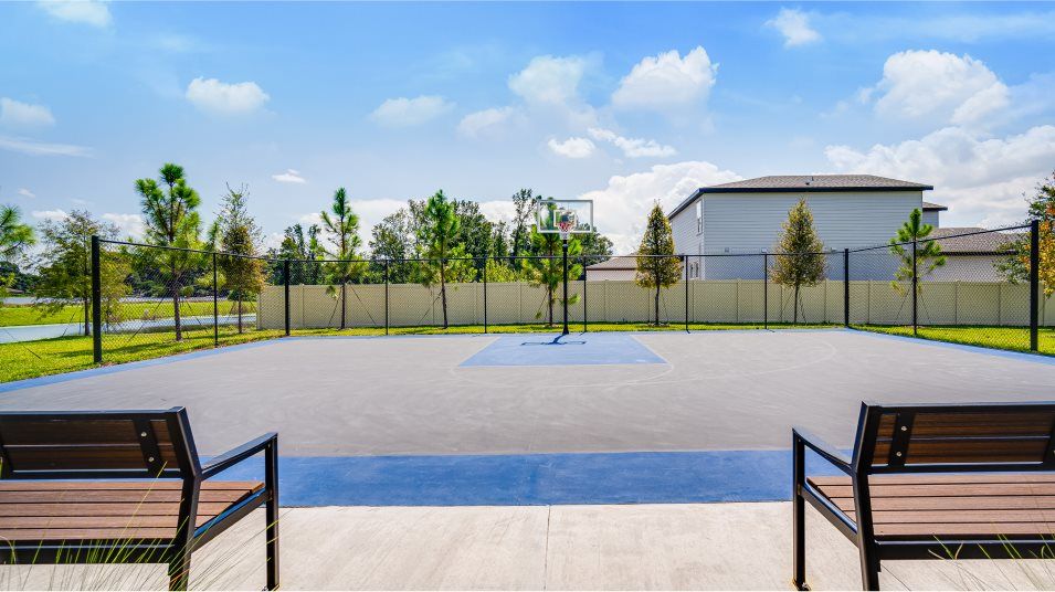 basketball