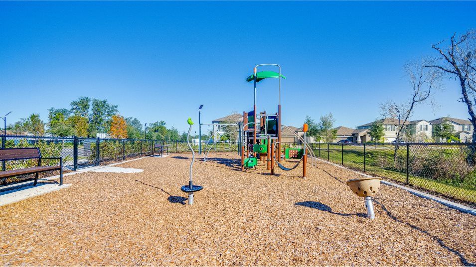 playground