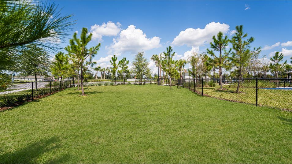 dog park