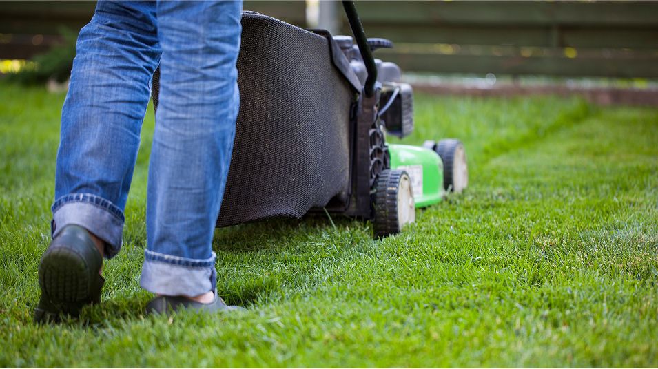 N Pic Decor Home Lawnmower